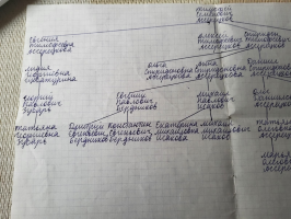 YkE3BAWo.jpeg, 230133 