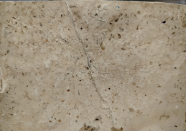  : IMG_20251111_090423.jpg