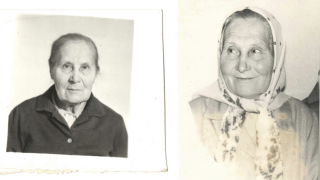 IMG_4784.jpeg, 262763 