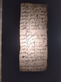  : IMG_20250616_121438   .jpg