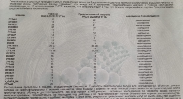  : 9085316a-2889-4a71-b65a-9a6a2f614b63.jpeg