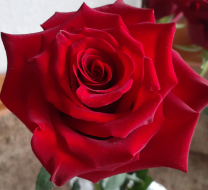  : 20251113_111752.jpg