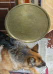  : DSCN9509.JPG