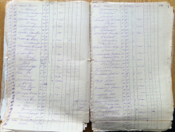 ������������� ����: SAM_6315.JPG