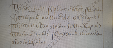 ������������� ����: 20251123_150717 � �����.jpg