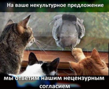  : 1353915147_post-21910-1350836798_thumb.jpg