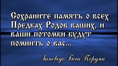 ������������� ����: videoPreview.jpeg