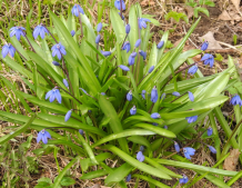  : DSCN1899 .jpg