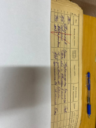������������� ����: IMG_9323.jpeg