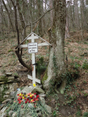 : DSC00640 - .JPG