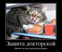  : x_987de2e9.jpg
