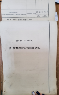 ������������� ����: 20251014_095652.jpg