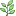 ������������� ����: 206.png