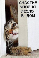  : getImageCAX28CVL.jpg