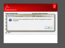  : adob error.jpg