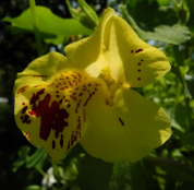 ������������� ����: DSCN3468 �.jpg