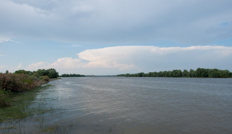  : DSC_3625.jpg