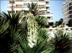 ������������� ����: �������. �������� ����.1.jpg