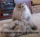  : 2kzxIJJdlyk.jpg