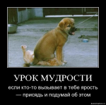 Прикрепленный файл: урок мудрости.jpg