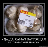 Прикрепленный файл: черешня.jpg