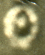  : badge3.jpg