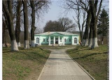  : image.jpg