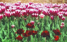 ������������� ����: �������� 3.��������..jpg