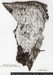  : image.jpg
