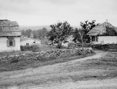  :    1950 .jpg