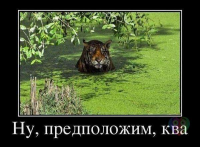  : zJfyHs0hrG0.jpg