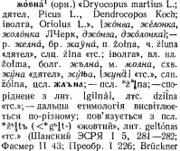  : p0202-sel.jpg