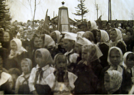  : S8008179 1.JPG