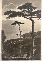  : 0026-3.jpg
