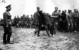  : 1917265_original.jpg