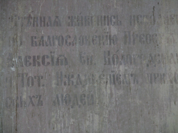  : DSCN0310.JPG