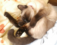  : P5250008.JPG
