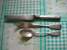  : DSCN0119.JPG