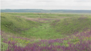  : tambovska1.JPG