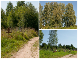  : Fotor0731181236.jpg