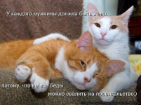  : .jpg