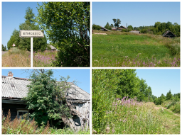  : Fotor0731213523.jpg