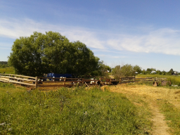  : 20140712_120537   .jpg