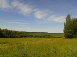  : 20140712_111726  !.jpg