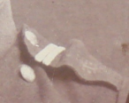  : DSC06132 2.jpg