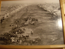  : blumenfeld koloonia.jpg
