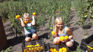  : 20140808_124448.jpg