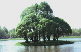 ������������� ����: ����� ������.jpg