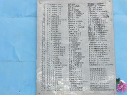  : CIMG0256.JPG