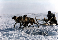 ������������� ����: x_eb93433fe0.jpg